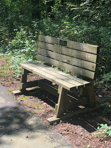 Sunlight on a wooden bench on Origami's paved campus trails. 
