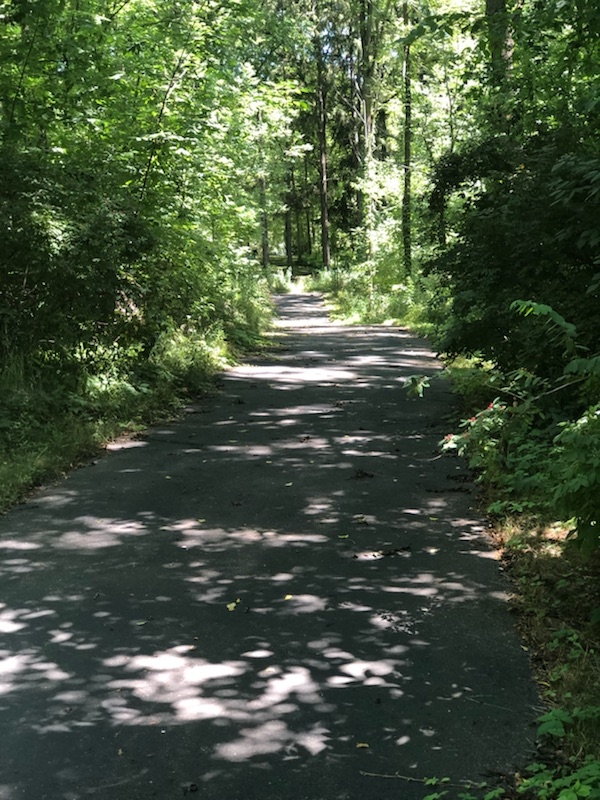 The sunlight shines through the leaves of the trees on Origami's paved campus trails. 