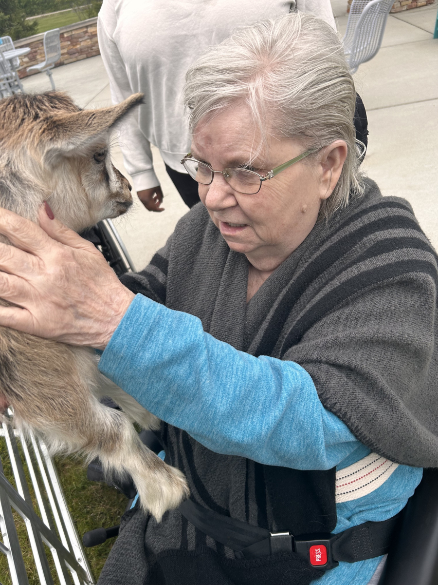 Origami resident enjoys the mini therapy goats visiting campus